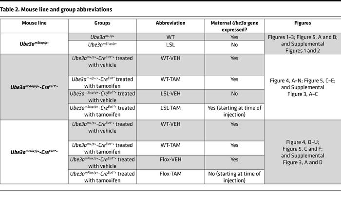 Mouse line and group abbreviations