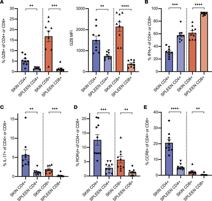Skin-infiltrating T cells demonstrate activated cytotoxic and Th17 pheno...