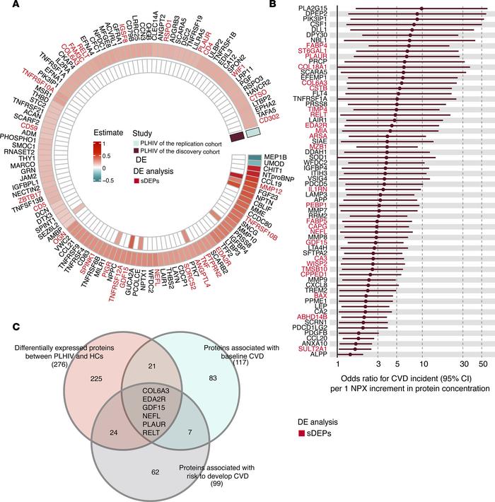 Plasma proteomic signatures of CVD in PLHIV.
(A) Circular heatmap of ass...