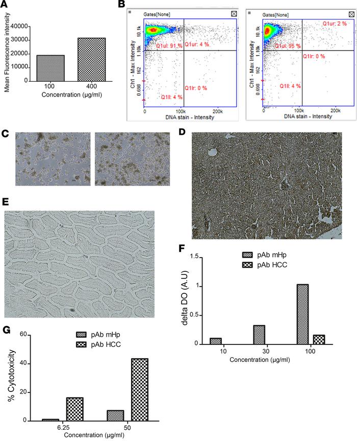 Polyclonal antibodies raised against healthy cells show high toxicity ag...