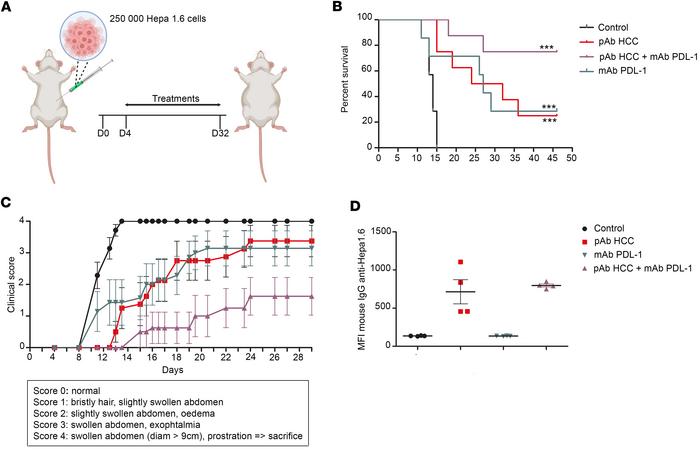 Efficacy of anti–hepatocellular carcinoma pAb, alone or in association w...