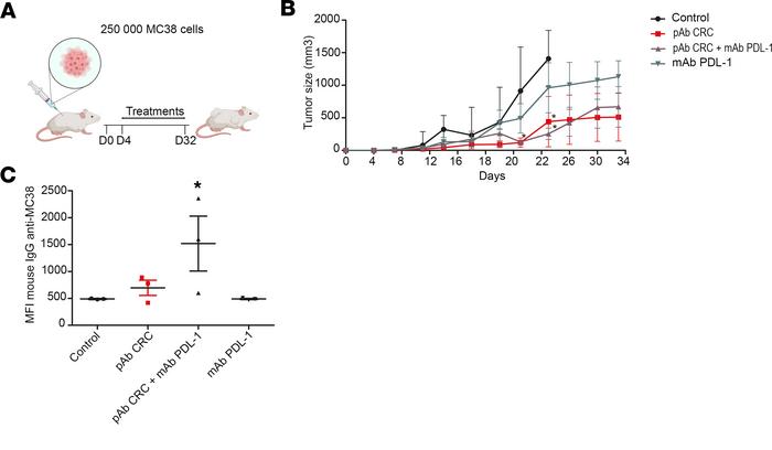 Anticolon adenocarcinoma pAb, alone or in association with anti–PD-L1, s...