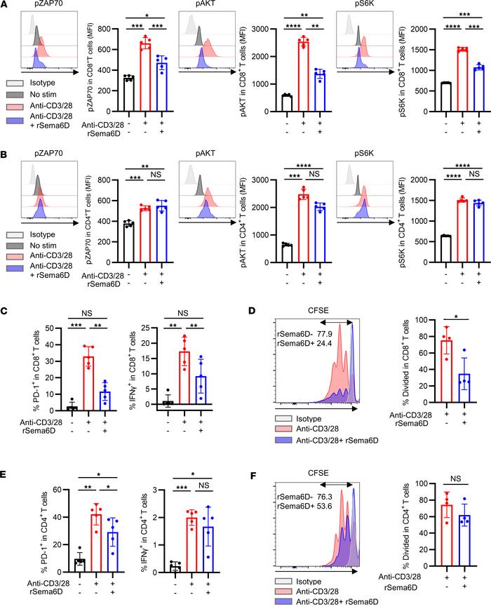 Inhibition of T cell activation, effector function, and proliferation by...
