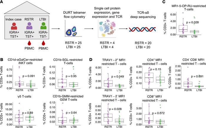 MR1T cells are expanded in the peripheral blood of RSTRs compared with L...