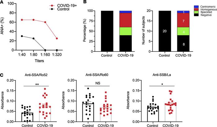 Autoantibody induction in COVID-19 human sera.
(A) ANA profile was deter...