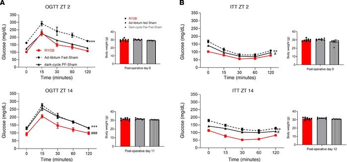Pair-feeding to RYGB counterparts improves glucose tolerance during the ...