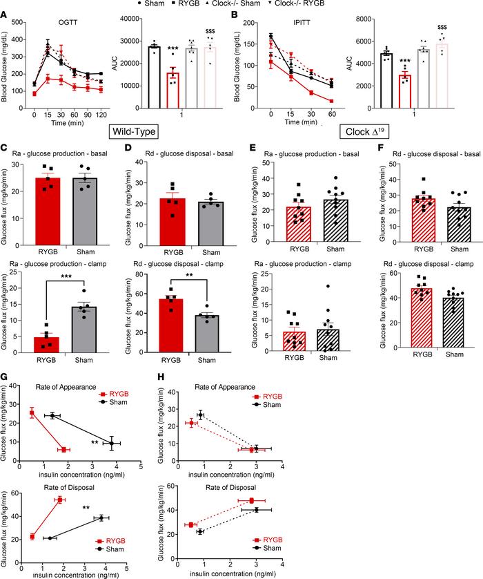 
Clock is required for RYGB-induced glucoregulatory changes (week 6 post...