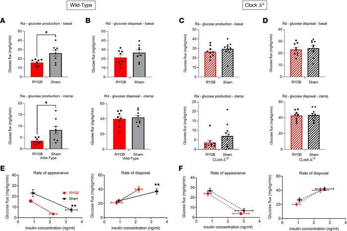 RYGB fails to improve early hepatic glucose production in DIO ClockΔ19 m...