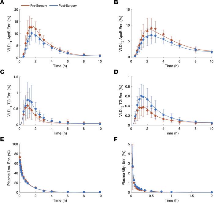 Leucine and glycerol enrichment time-courses.
Presurgery (red) and posts...