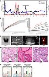 Thyroid function tests, clinical data, imaging results, and genetic data of