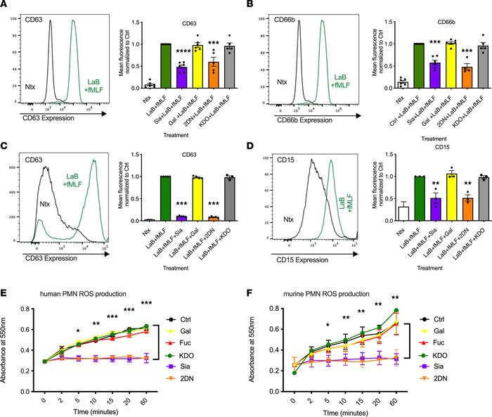 Sialidase inhibition prevents degranulation and ROS release in human and...