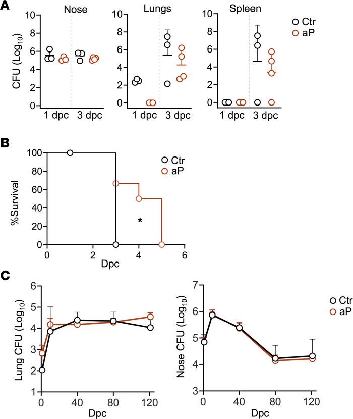 Effect of maternal aP immunization on colonization by K. pneumoniae and ...