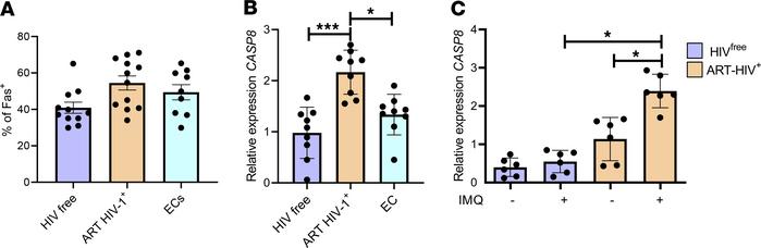 Caspase 8 is downstream of IRF5.
CD4+ T cells from PBMCs of ART HIV-1+, ...