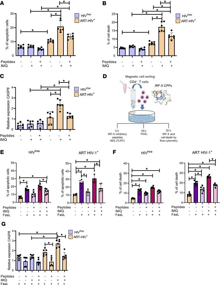 IRF-5 inhibitory peptides rescue memory CD4+ T cells from Fas-mediated a...