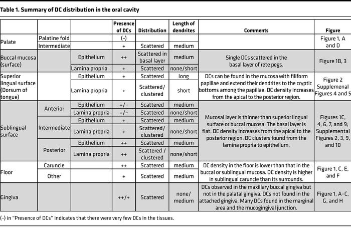 Summary of DC distribution in the oral cavity