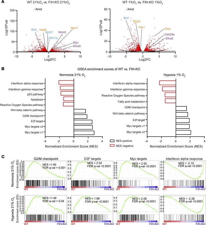RNA-Seq analysis reveals transcriptional changes in lung cancer cells up...