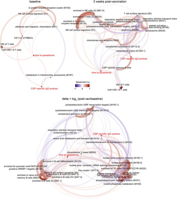 Multimodal correlation analyses reveal features associated with CSP-spec...