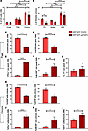 Inflammatory exFOXP3 T cells are enriched in the inflamed CNS in vivo.