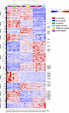 Human BBB-EC–transmigrated Tregs present a dysfunctional, proinflammatory p