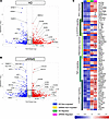 Pathway analysis shows upregulation of inflammatory phenotype and mTORC1 si