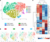 Inflammatory genes are upregulated in CNS-isolated Tregs.