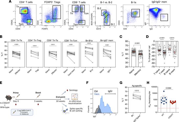 Purifying selection against C5024T in memory T and B lymphocytes in vivo...