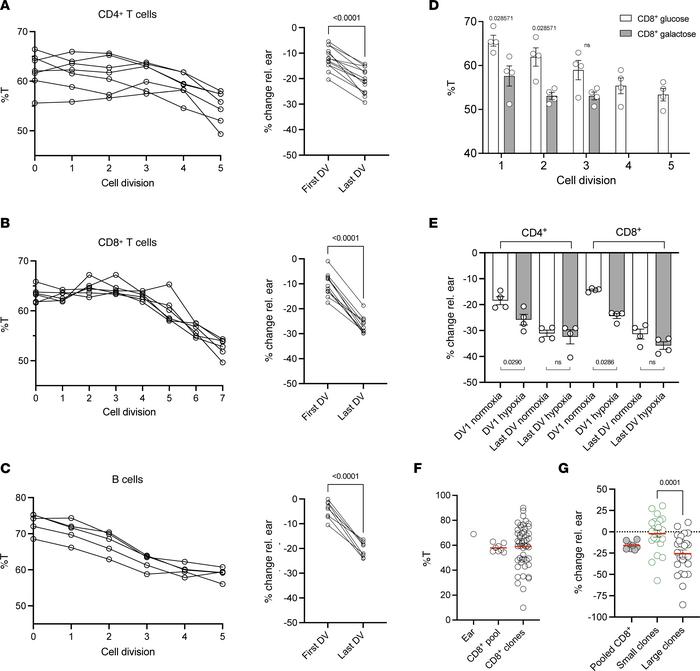 In vitro induction of mtDNA variant selection by antigen-receptor trigge...