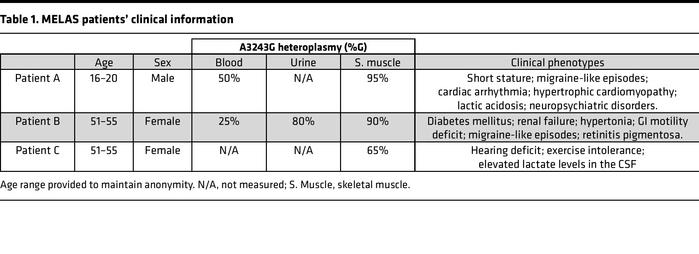 MELAS patients’ clinical information