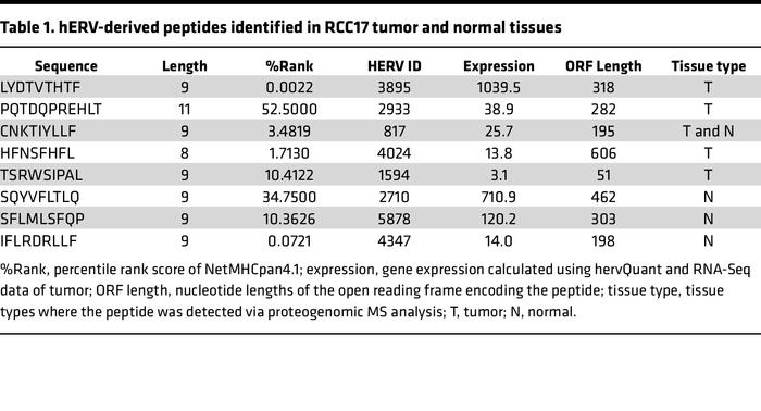 hERV-derived peptides identified in RCC17 tumor and normal tissues