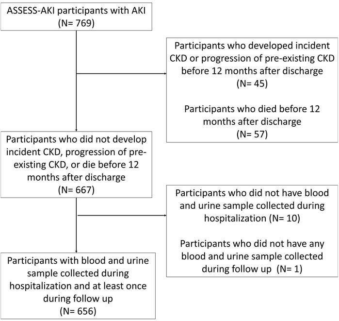 Flow chart for the inclusion of study participants in ASSESS-AKI cohort.