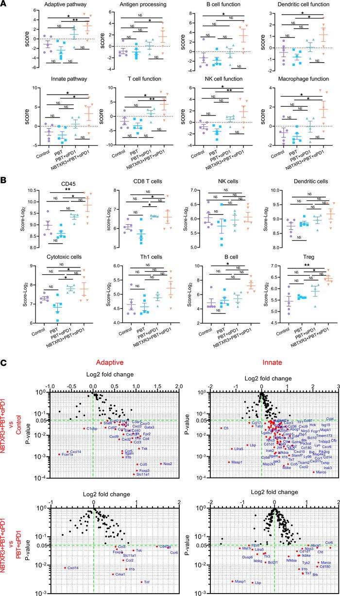 Triple therapy of NBTXR3, PBT, and αPD1 modulates the expression of immu...