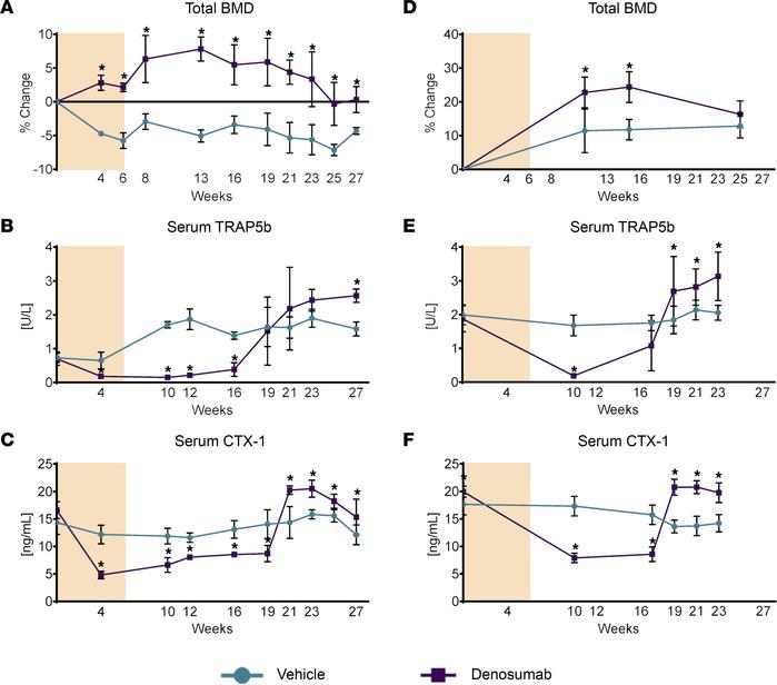Rebound resorption in hRANKL mice.
(A) Six-month-old, male hRANKL mice w...
