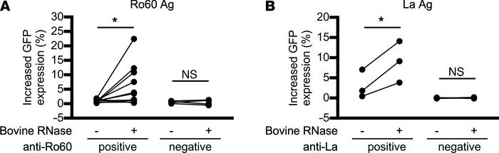 Bovine pancreatic RNase also enhances the FcγRIIIA-stimulating activity ...