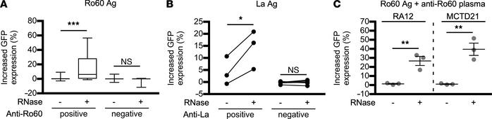 Enhancement of the FcγRIIIA-stimulating activity of Ro60 and La by RNase...