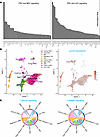 Lymph node stromal cell subsets crosstalk through laminin and collagen sign