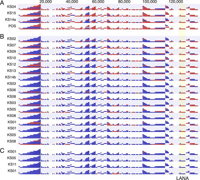 Viral RNA-Seq analysis of pediatric KS biopsies.
RNA-Seq analysis of 25 ...