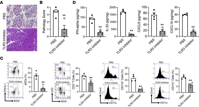Blockade of TLR3 by inhibitors prevents the development of experimental ...
