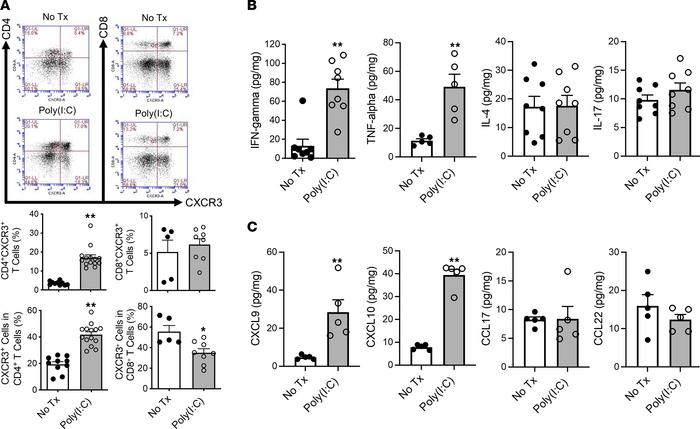 Expression of Th1-associated cytokines and chemokines is enhanced in MRL...