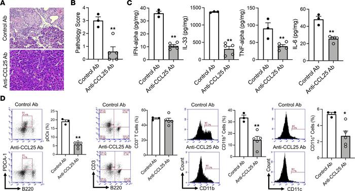 Pancreatic accumulation of pDCs requires the molecular interaction betwe...