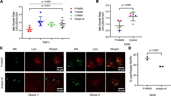 
M. tuberculosis intracellular growth is reduced in the presence of mAb ...