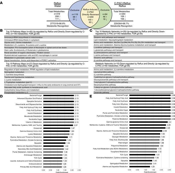 C-PAC mitigates reflux-induced esophageal metabolite dysregulation.
(A) ...