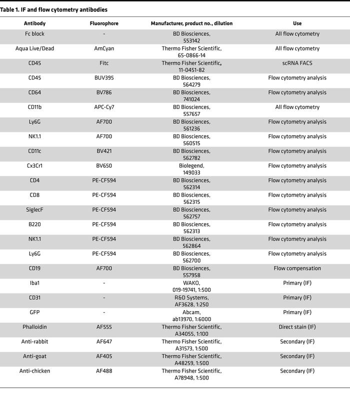 IF and flow cytometry antibodies