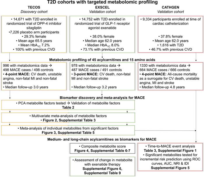 Overview of study design and statistical methods in cohorts with T2D and...