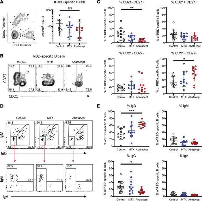 Abatacept treatment reduces activation and class switching in RBD-specif...