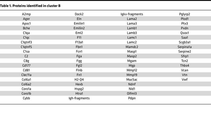 Proteins identified in cluster B