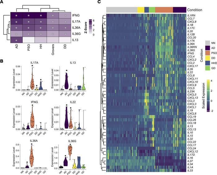 Th17 inflammatory signatures are common across DD, HHD, GD, PSO, and AD,...