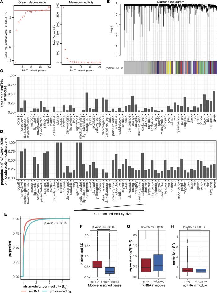 Construction and characterization of WGCNA network.
(A) Soft-threshold s...