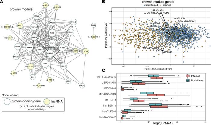 Hub genes and dimensionality reduction for the inflammation-associated b...