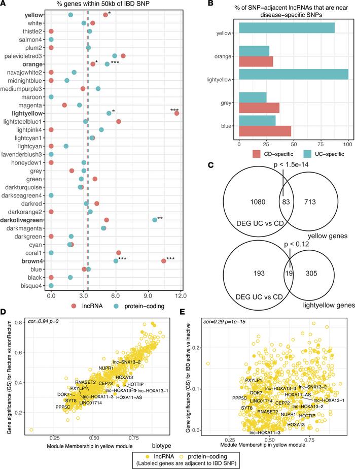 Relationship of modules to IBD genetics.
(A) The percentage of SNP-adjac...