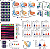Monitoring single-cell phenotypes and heterogeneity in response to treatmen